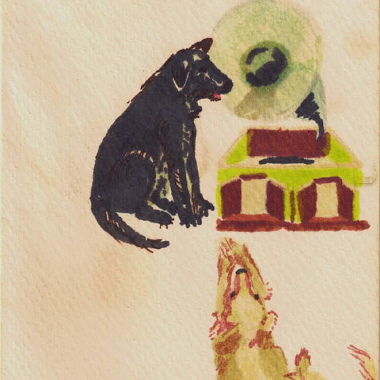 Dwaal Troupe - Lucky Dog (LP) - Joco Records