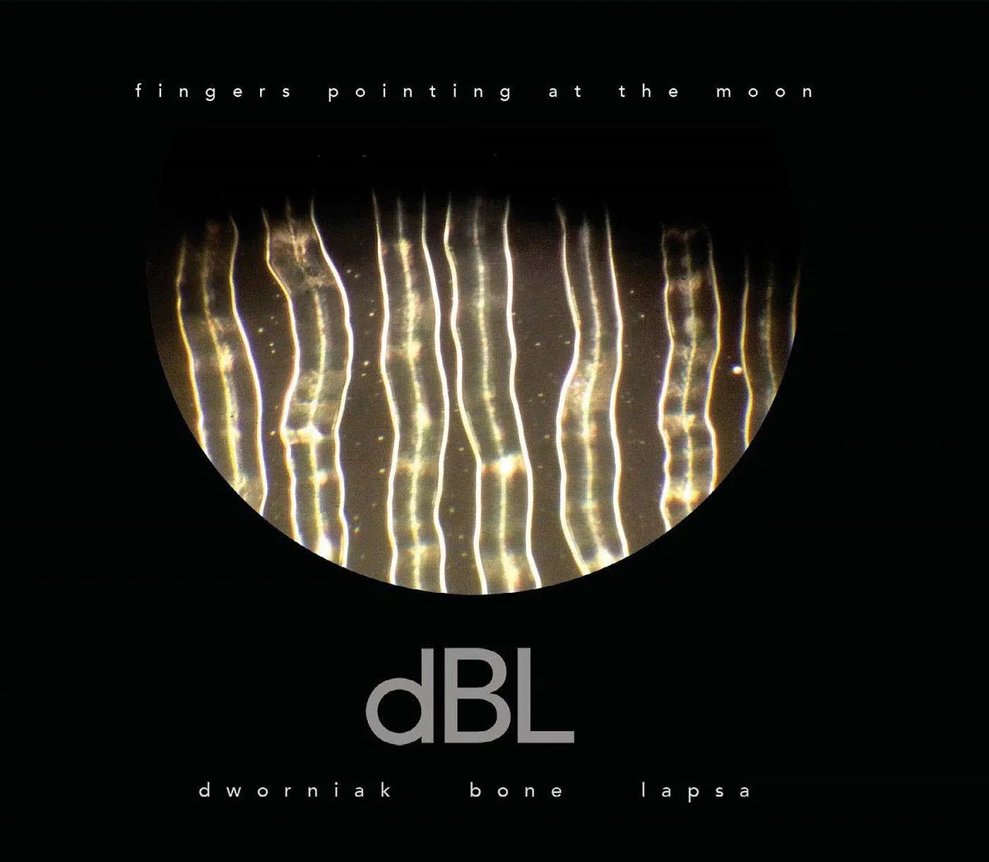 Dworniak Bone Lapsa - Fingers Pointing At The Moon (LP) - Joco Records