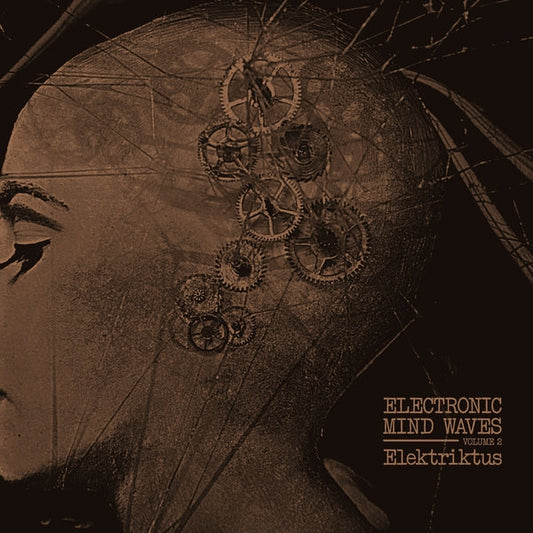 Elektriktus - Electronic Mind Waves Volume 2 (LP)