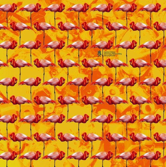 Elephant Chateau - Dreamings & Offshore Drilling - Pearls And Turtles (LP) - Joco Records