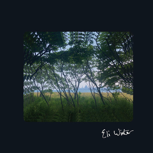 Eli Winter - Eli Winter (LP) - Joco Records