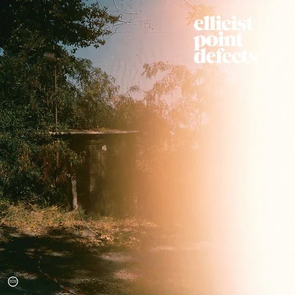 Ellicist - Point Defects (LP) - Joco Records
