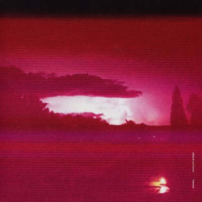 ERIKM & LUC FERRARI - Visitation
