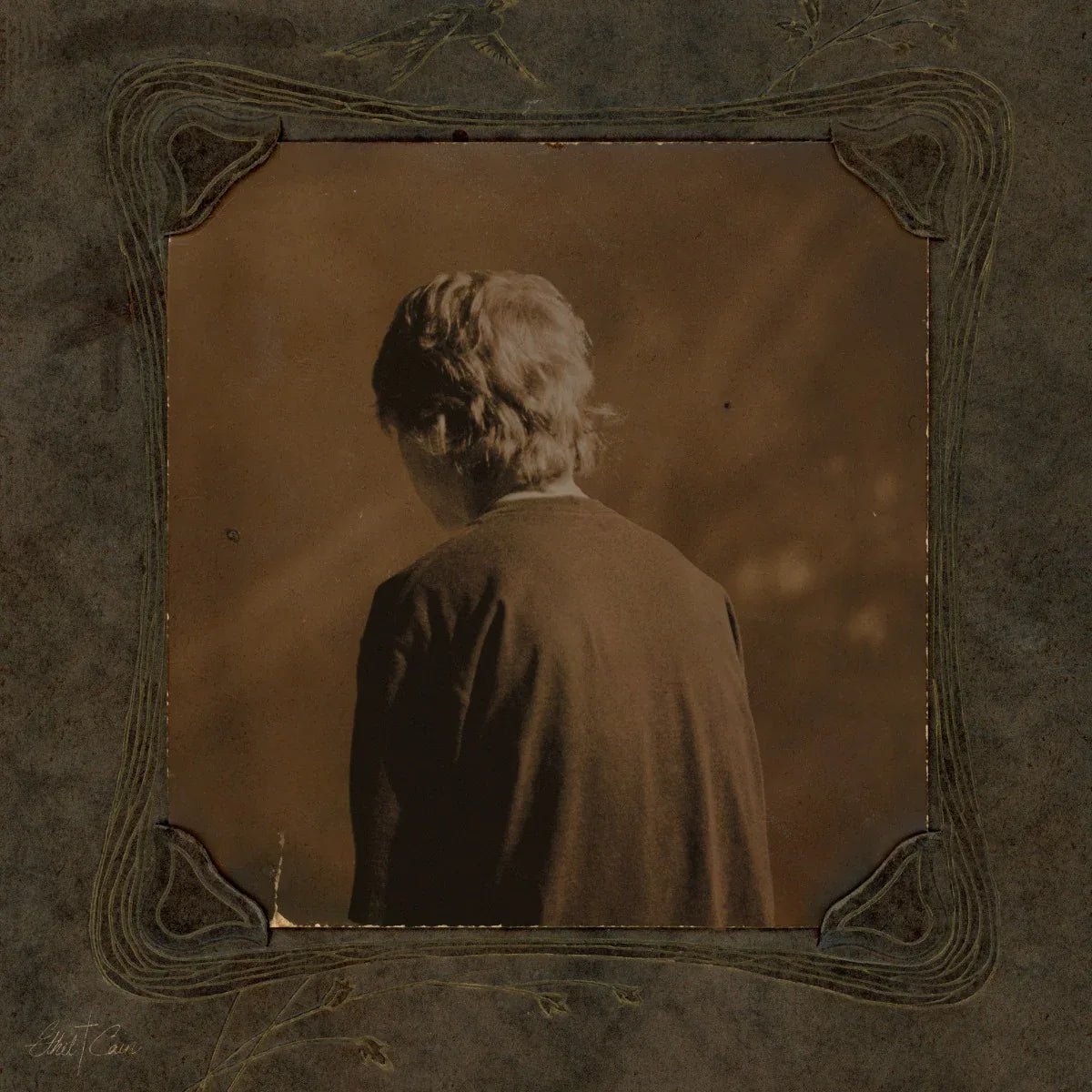 Ethel Cain - Willoughby Tucker, I’ll Always Love You (2 LP) - Joco Records