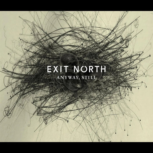 Exit North - Anyway, Still (2 LP) - Joco Records