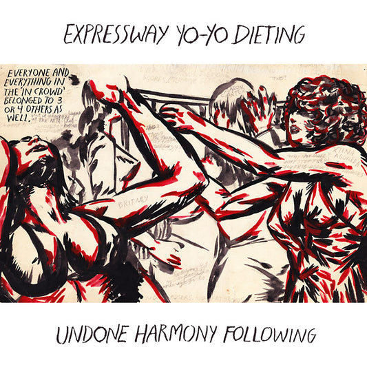 EXPRESSWAY YO-YO DIETING - Undone Harmony Following