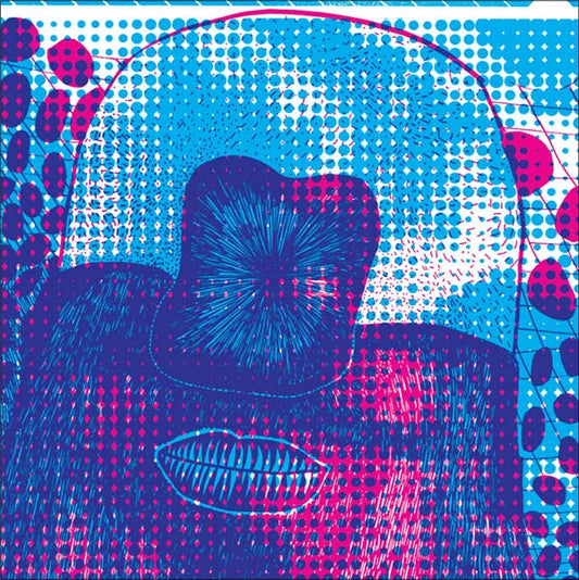 Extra Sexes - Spiral Mirror (LP) - Joco Records