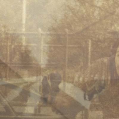 Ezekiel Honig - Folding In On Itself (LP) - Joco Records