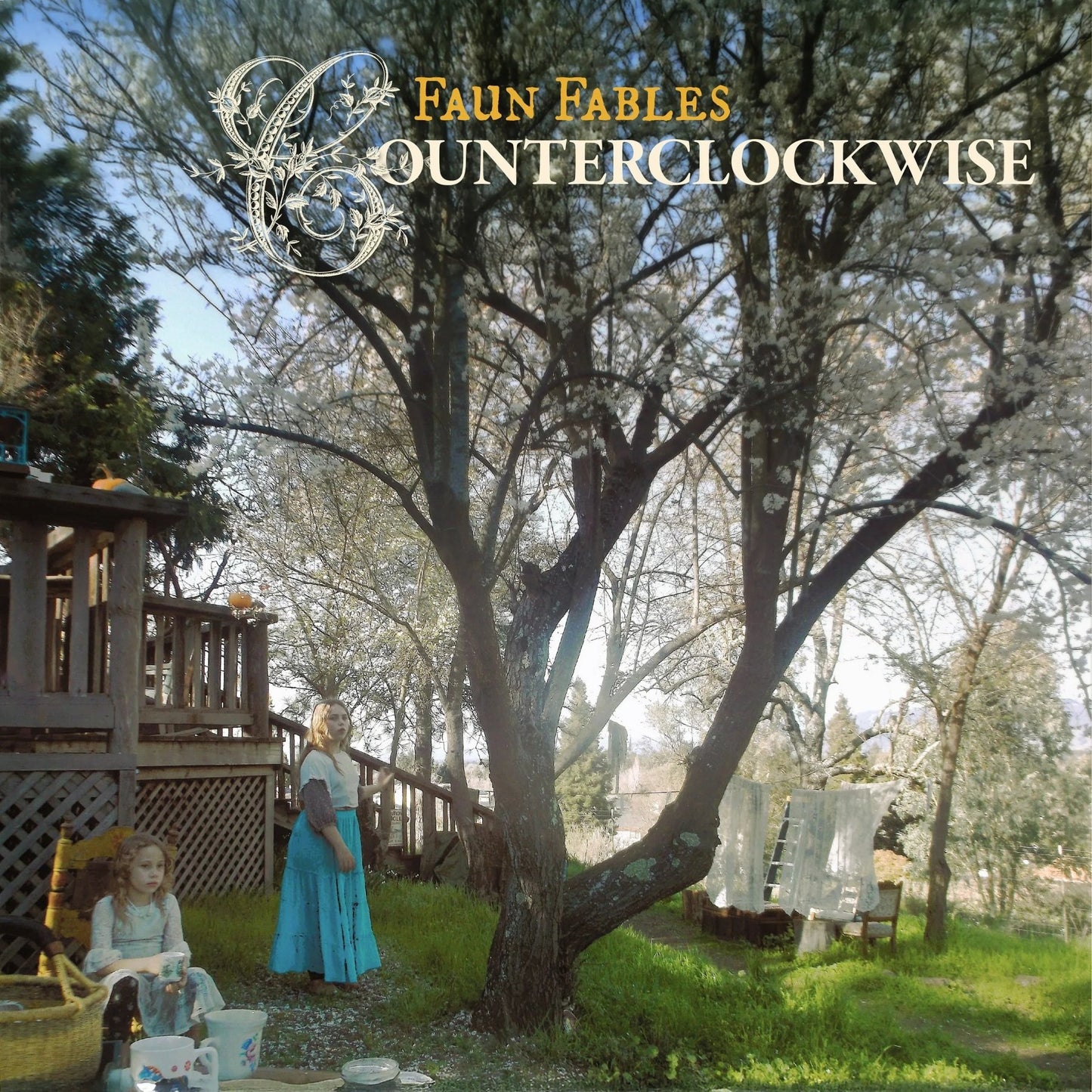 Faun Fables - Counterclockwise (2 LP) - Joco Records