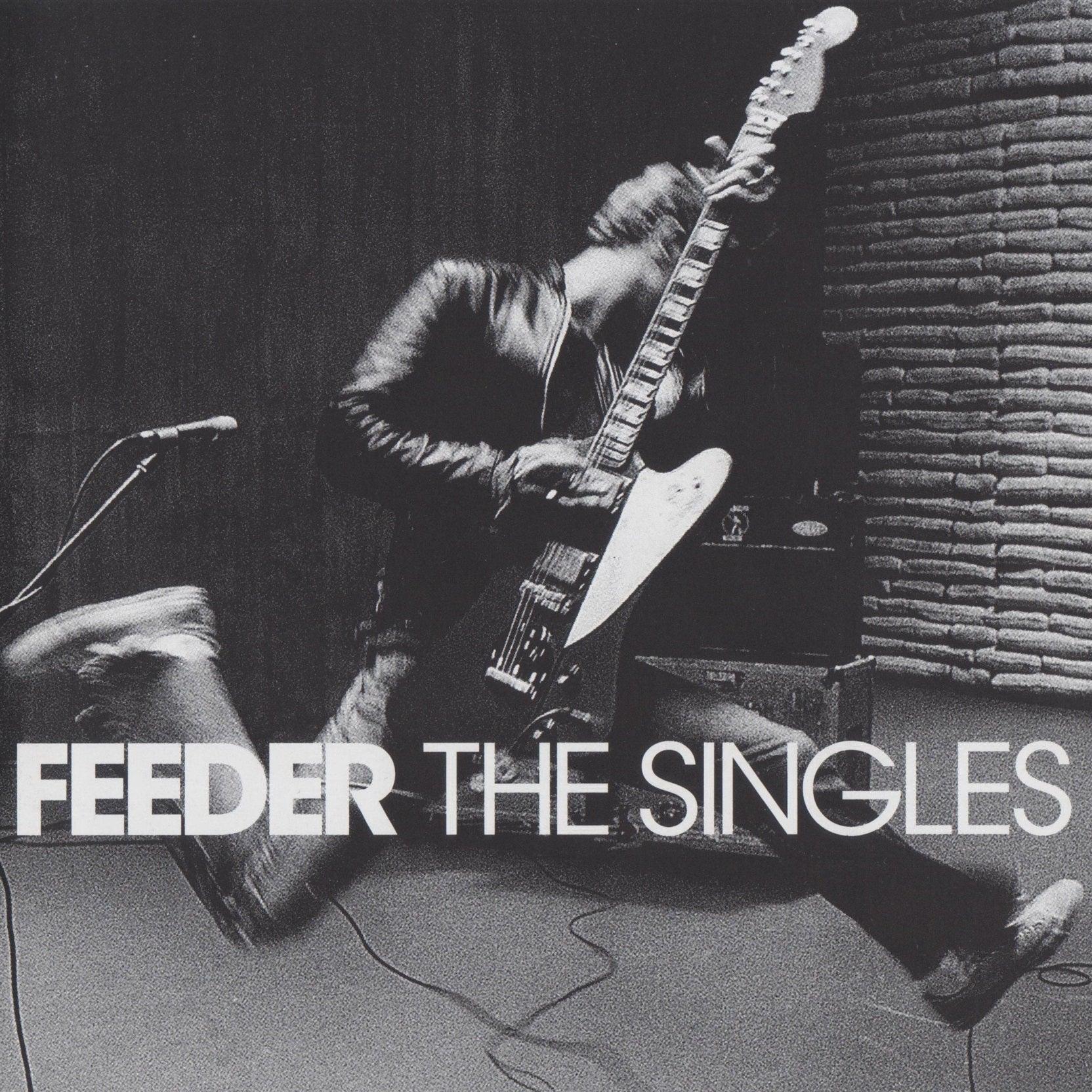 Feeder - The Singles (Limited Edition, Transparent Pink Vinyl) (2 LP) - Joco Records