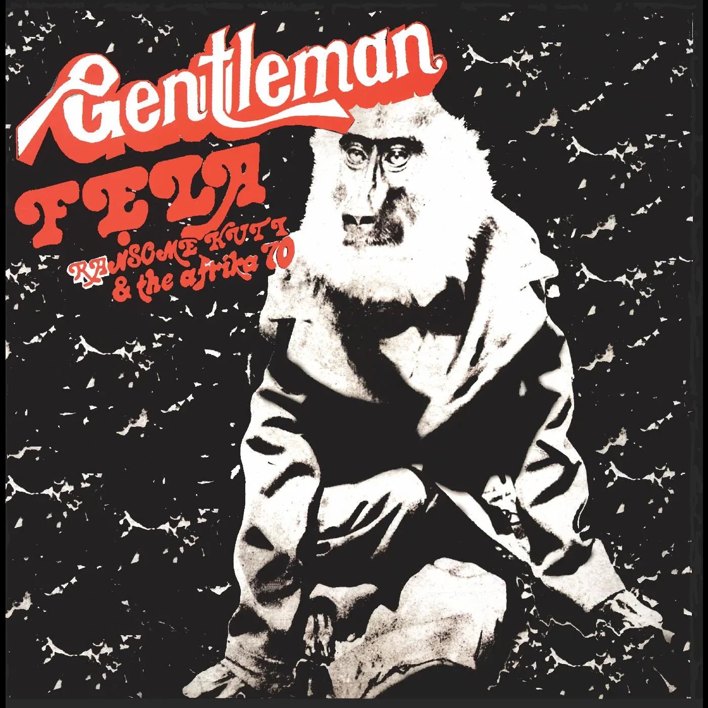 Fela Kuti - Gentleman (50th Anniversary) ("Igbo Smoke" Vinyl) (LP) - Joco Records