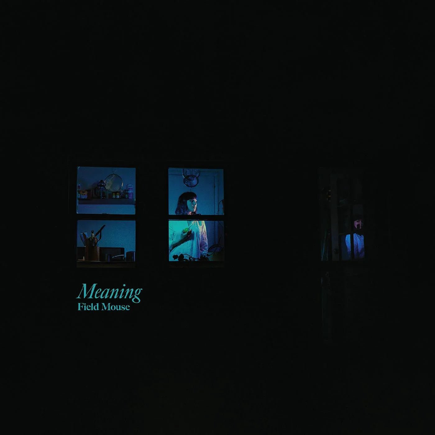 Field Mouse - Meaning (LP) - Joco Records