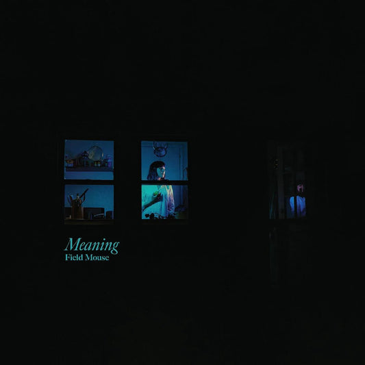 Field Mouse - Meaning (LP) - Joco Records