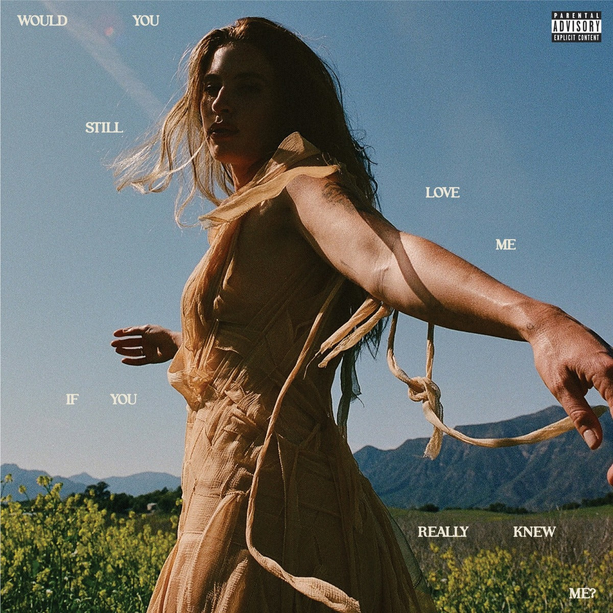 Fletcher - Would You Still Love Me If You Really Knew Me? (LP)