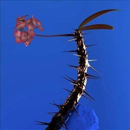 Flume - Skin Companion EP II (12-Inch Vinyl EP) - Joco Records