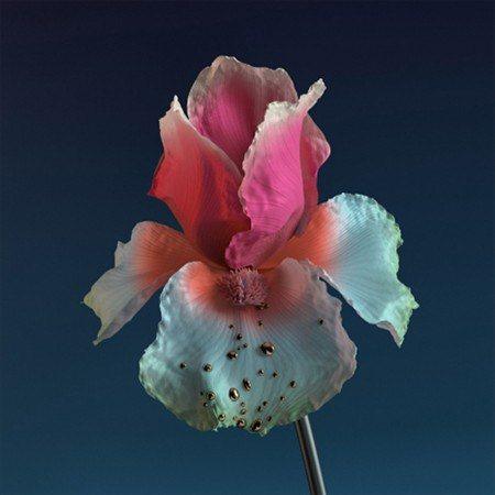 Flume - Tiny Cities (12-Inch Single) - Joco Records