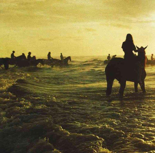 Foals - Holy Fire (LP) - Joco Records
