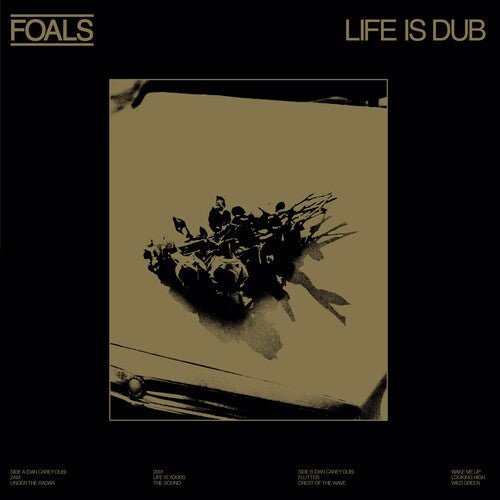Foals - Life Is Dub (RSD Exclusive, 4.22.23) (LP) - Joco Records