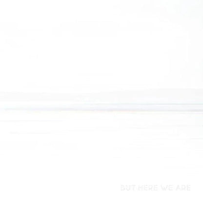 Foo Fighters - But Here We Are (White Vinyl) (LP) - Joco Records