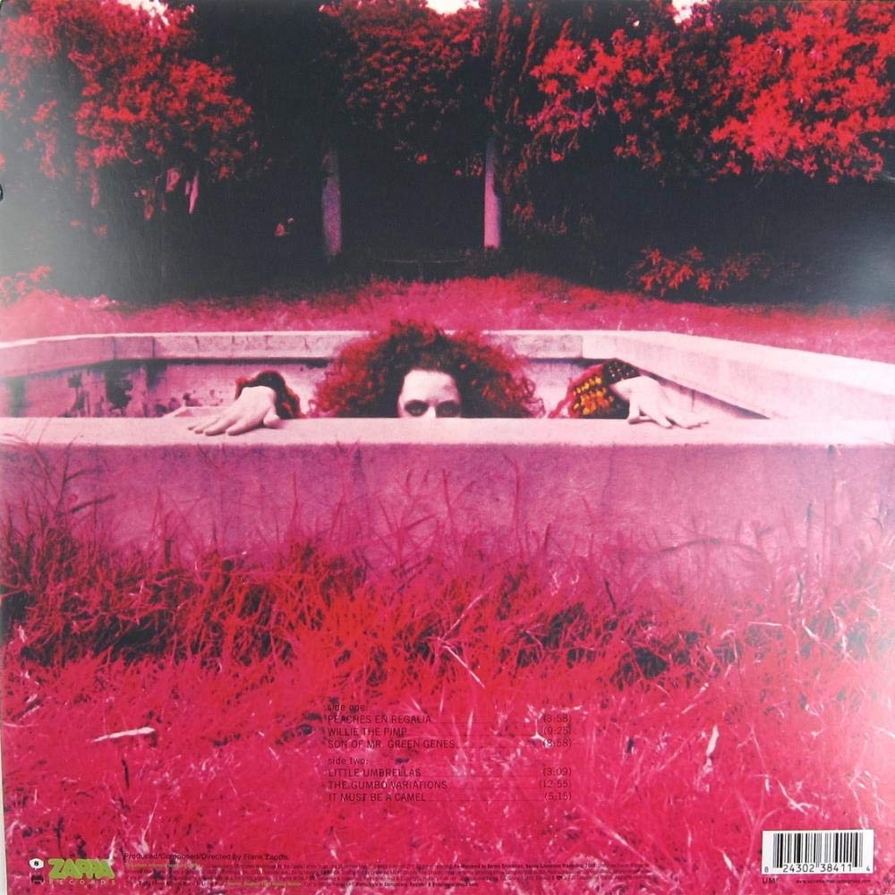 Frank Zappa - Hot Rats (Remastered, Gatefold) (LP) - Joco Records