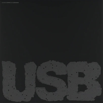 Fred Again.. - USB002 (Standard Black Vinyl) (2 LP) - Joco Records