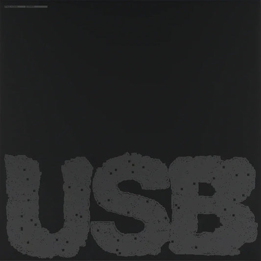 Fred Again.. - USB002 (Standard Black Vinyl) (2 LP) - Joco Records