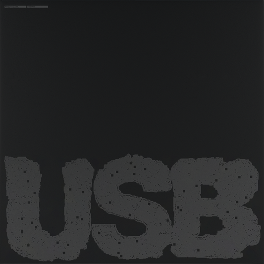 Fred Again.. - USB002 (Standard Black Vinyl) (2 LP)