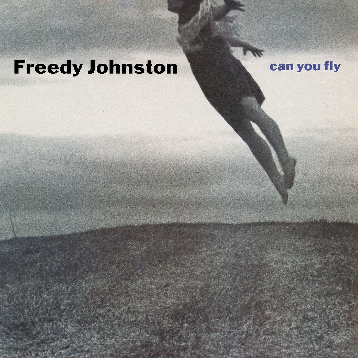 Freedy Johnston - Can You Fly (Clear Vinyl)