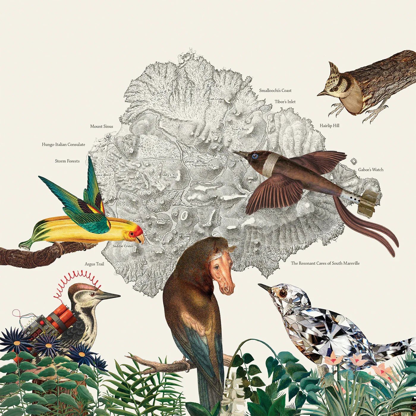Friendly Rich - The Birds Of Marsville (Vinyl) - Joco Records