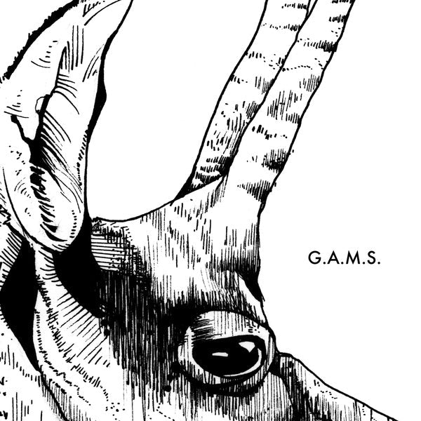 G.A.M.S. - G.A.M.S. (LP) - Joco Records