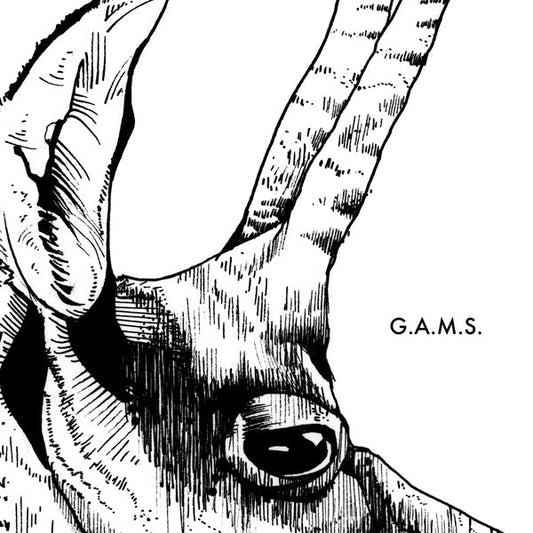 G.A.M.S. - G.A.M.S. (LP) - Joco Records