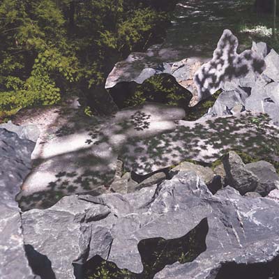 Geoff Mullen - Filtered Water (LP) - Joco Records