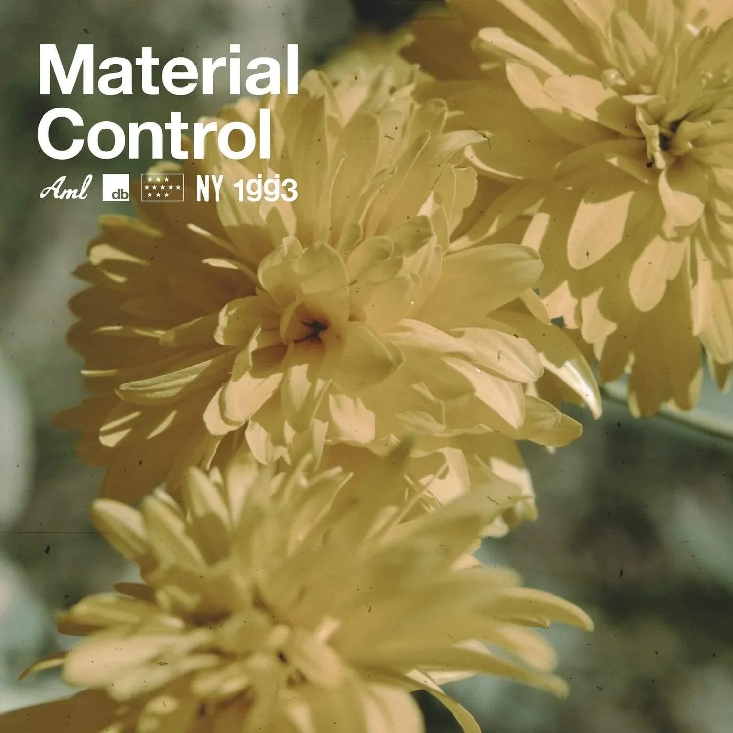Glassjaw - Material Control (LP) - Joco Records