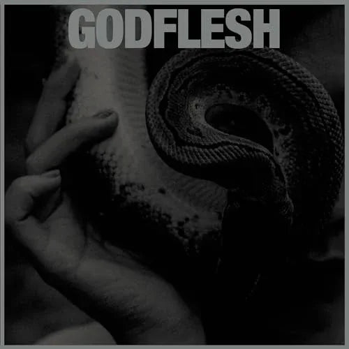 Godflesh - Purge (LP) - Joco Records