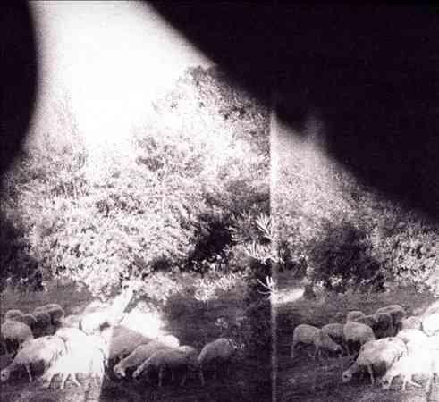 Godspeed You Black Emperor - Asunder Sweet & Other Distress (LP) - Joco Records