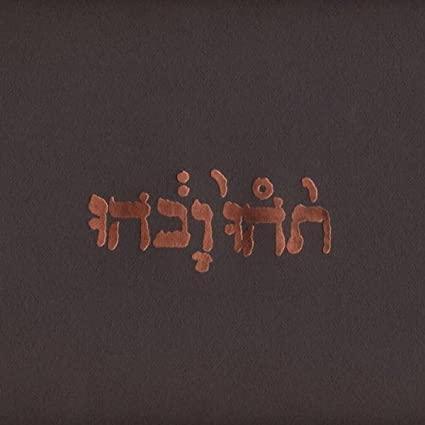 Godspeed! You Black Emperor - Slow Riot for New Zero Kanada (Extended Play) (180 Gram Vinyl) - Joco Records