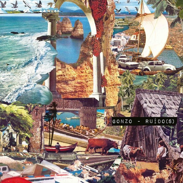 Gonzo - Ruido(S) (LP) - Joco Records