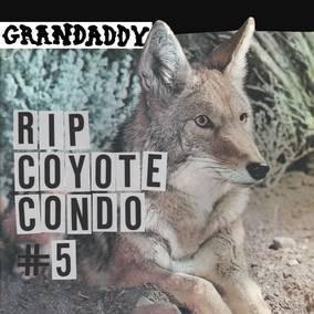 Grandaddy - "Rip Coyote Condo 5" B/W " "The Fox In The Snow" & "In My Room" (12-Inch Vinyl EP) - Joco Records