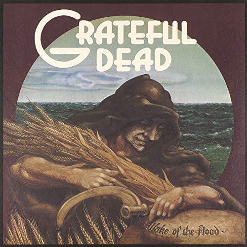 Grateful Dead - Wake Of The Flood (Rocktober 2018 Exclusive) (LP) - Joco Records
