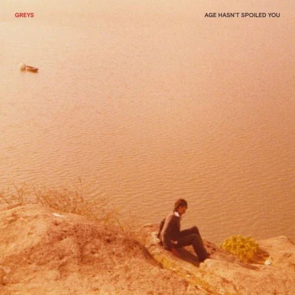 Greys - Age Hasn't Spoiled You (LP) - Joco Records
