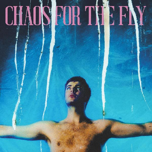 Grian Chatten - Chaos For The Fly (Opaque White Vinyl) (LP) - Joco Records