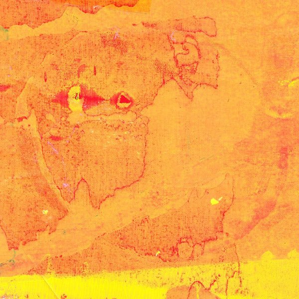 Grisha Shakhnes - Leave/Trace (LP) - Joco Records