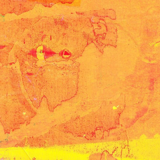 Grisha Shakhnes - Leave/Trace (LP) - Joco Records