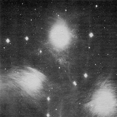 Grouper - AIA: Alien Observer (LP) - Joco Records