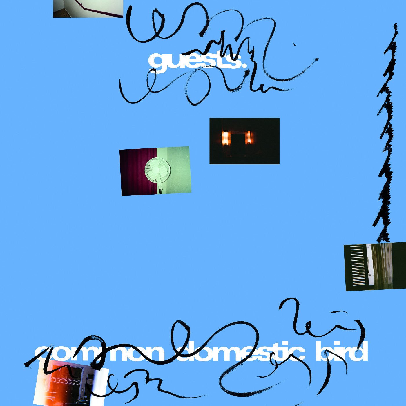 Guests - Common Domestic Bird (LP) - Joco Records