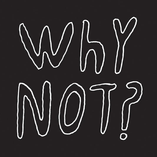 Half Japanese - Why Not? (LP) - Joco Records
