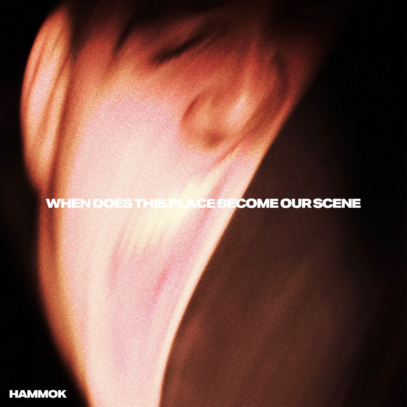 Hammok - When Does This Place Become Our Scene (Indie Exclusive, Red Vinyl) (LP) - Joco Records