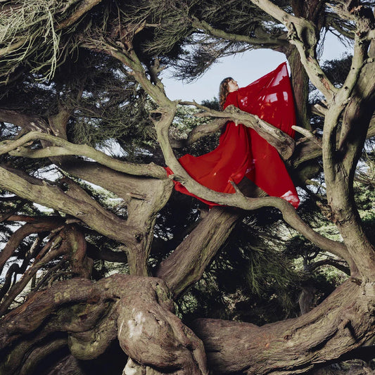 Hannah Frances - Nested In Tangles (Ruby Red Vinyl) - Joco Records