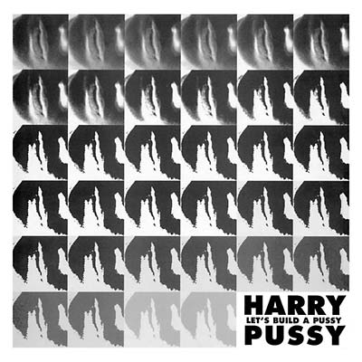 Harry Pussy - Let's Build A Pussy (2 LP) - Joco Records