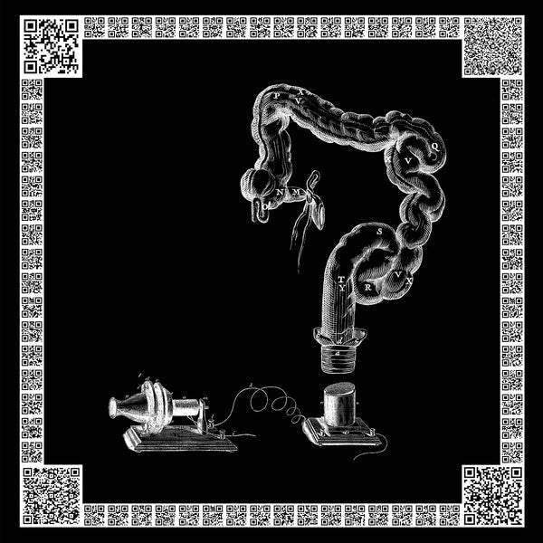 Hastings Of Malawi - Choreological Exchanges (LP) - Joco Records